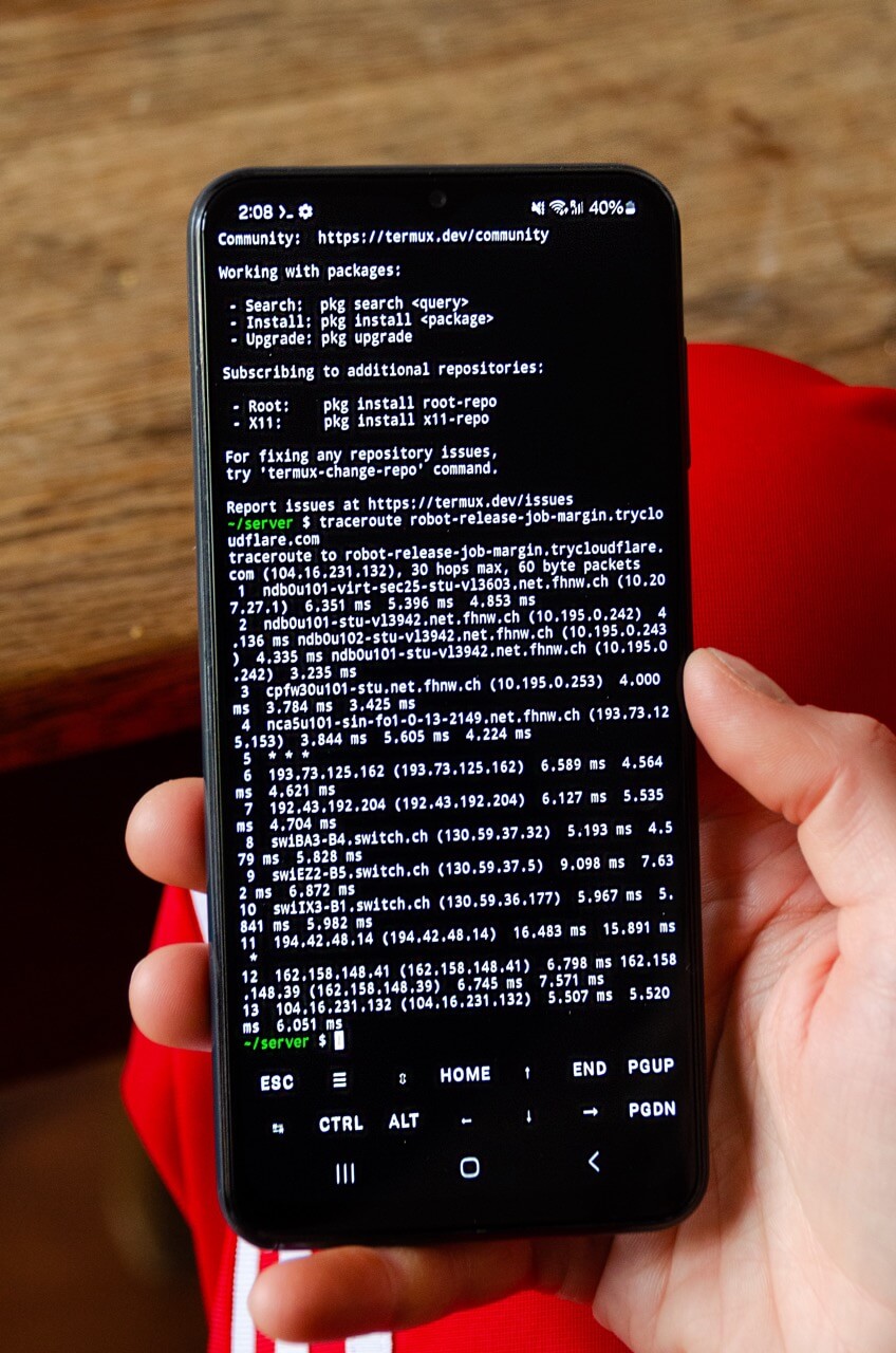 Image of the traceroute output.
